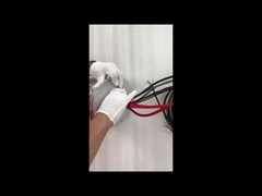 ইথারনেট স্লিপ রিং ECN000-21P-06S-01EG